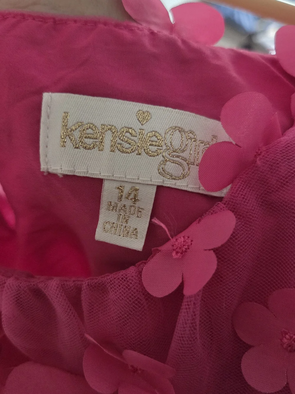 Kensie Girl Bright Pink 3D Floral Party Dress